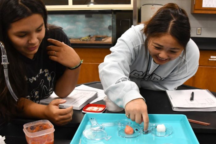 Ap biology pill bug lab