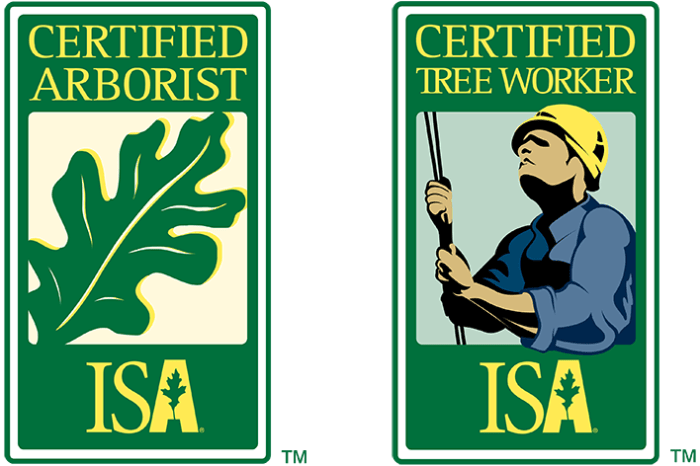 Isa certified arborist practice test free