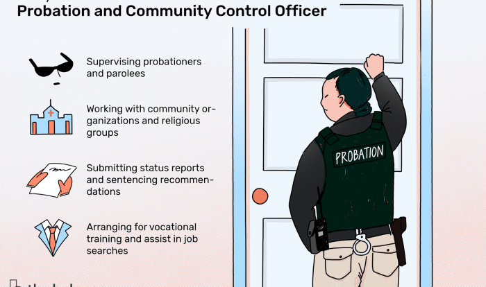 Pros and cons of probation