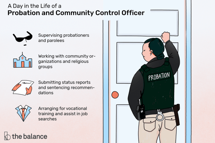 Pros and cons of probation