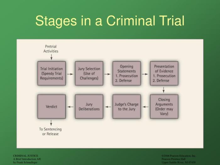 Introduction to criminal justice systems diversity and change 4th edition