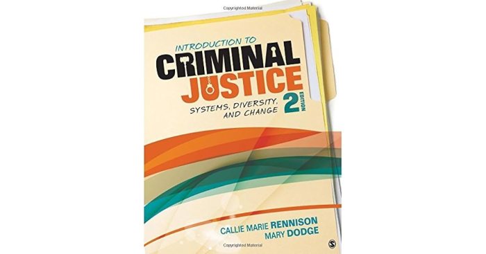 Introduction to criminal justice systems diversity and change 4th edition